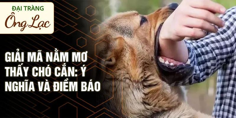 Giải mã nằm mơ thấy mất đồ: ý nghĩa và điềm báo