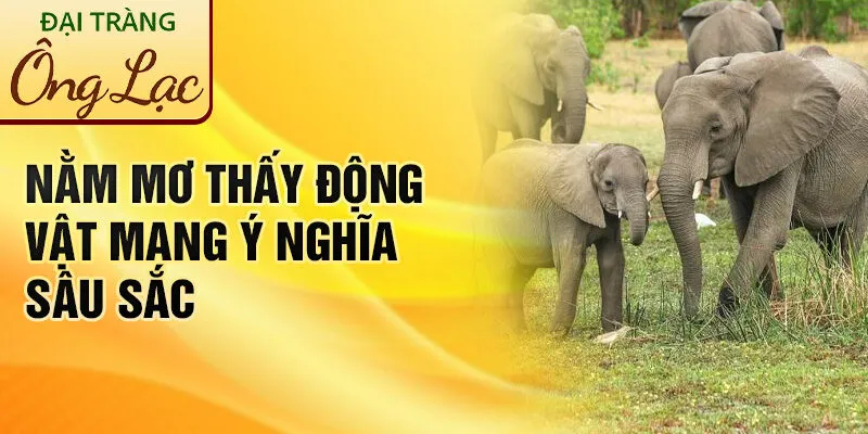Nằm Mơ Thấy Động Vật: Khám Phá Ý Nghĩa Thú Vị 2 Nằm mơ thấy động vật mang ý nghĩa sâu sắc