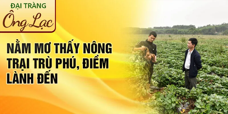 Nằm Mơ Thấy Nông Trại: Lời Dự Báo Từ Các Giấc Mơ 2 Nằm mơ thấy nông trại trù phú, điềm lành đến