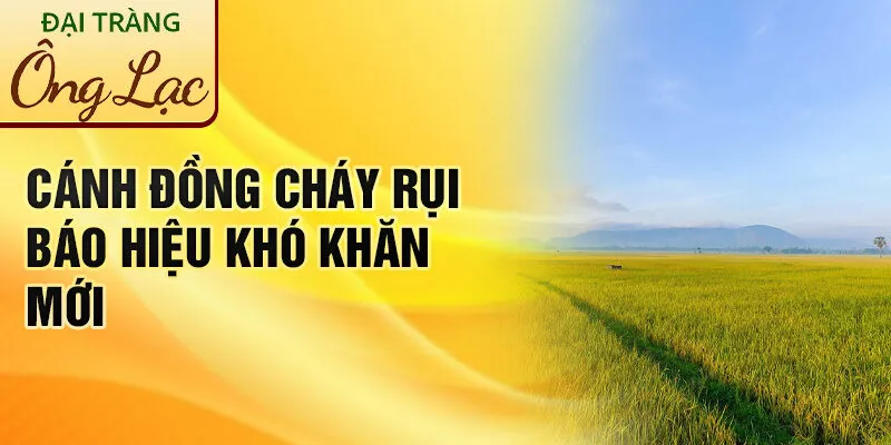 Nằm Mơ Thấy Cánh Đồng: Khám Phá Giải Mã Bí Ẩn 3 Cánh đồng cháy rụi báo hiệu khó khăn mới