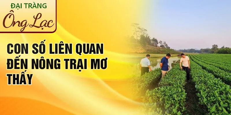 Nằm Mơ Thấy Nông Trại: Lời Dự Báo Từ Các Giấc Mơ 3 Con số liên quan đến nông trại mơ thấy
