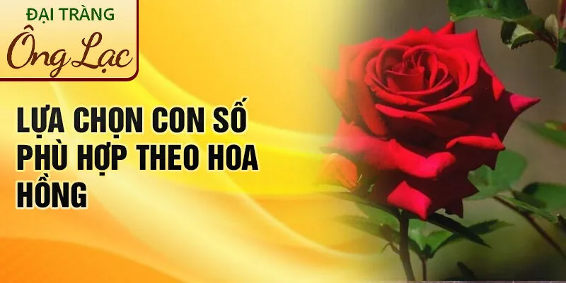 Nằm Mơ Thấy Hoa Hồng: Lời Thì Thầm Của Định Mệnh 4 Lựa chọn con số phù hợp theo hoa hồng