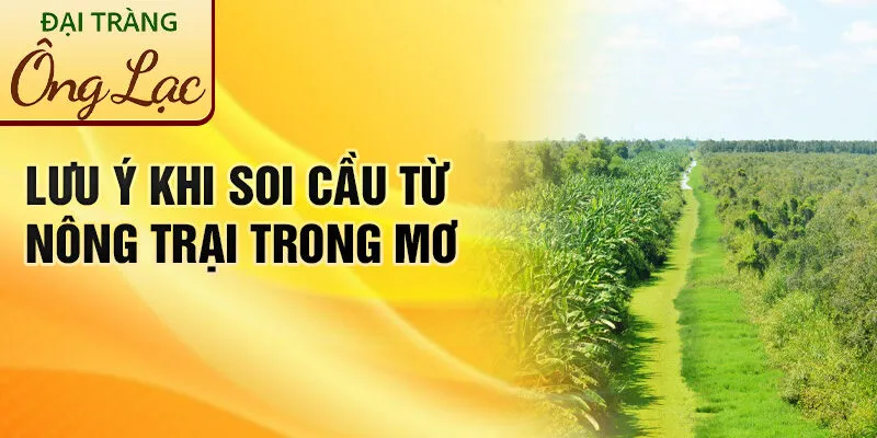 Nằm Mơ Thấy Nông Trại: Lời Dự Báo Từ Các Giấc Mơ 4 Lưu ý khi soi cầu từ nông trại trong mơ