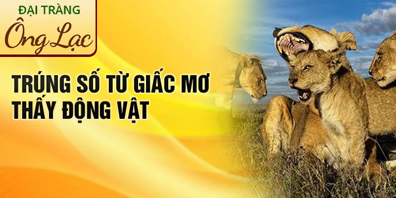 Nằm Mơ Thấy Động Vật: Khám Phá Ý Nghĩa Thú Vị 4 Trúng số từ giấc mơ thấy động vật